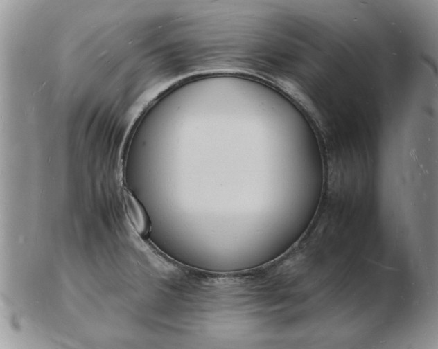 X0000103291380200809121958