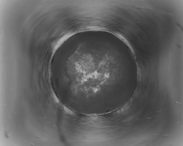 X0000103291381200809121958