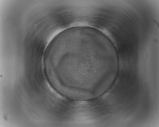 X0000103291382200809121958