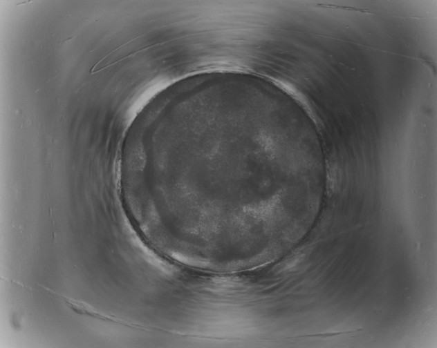 X0000103291383200809121958