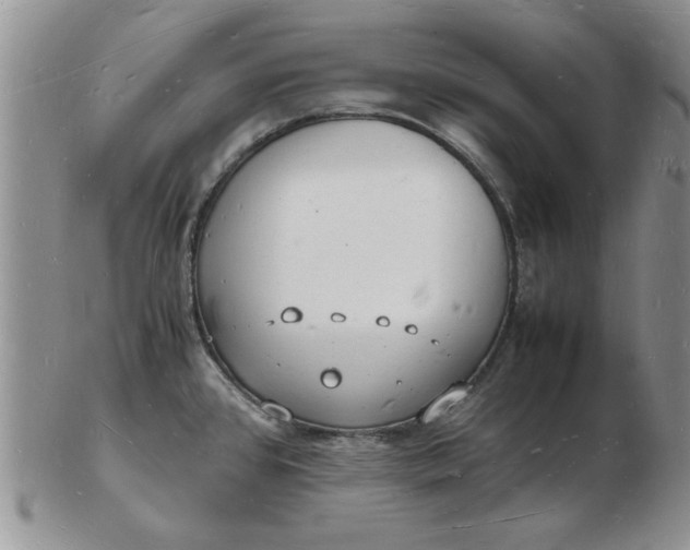 X0000103291384200809121958