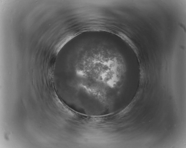 X0000103291385200809121958