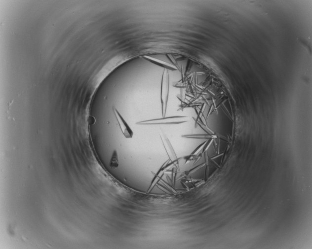 X0000103291386200809121958