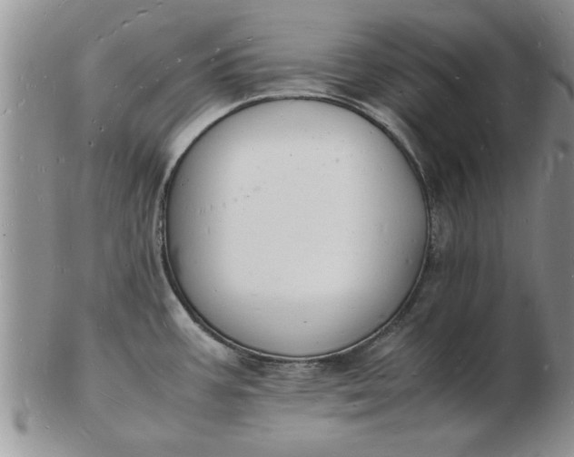 X0000103291387200809121958