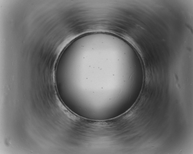 X0000103291388200809121958