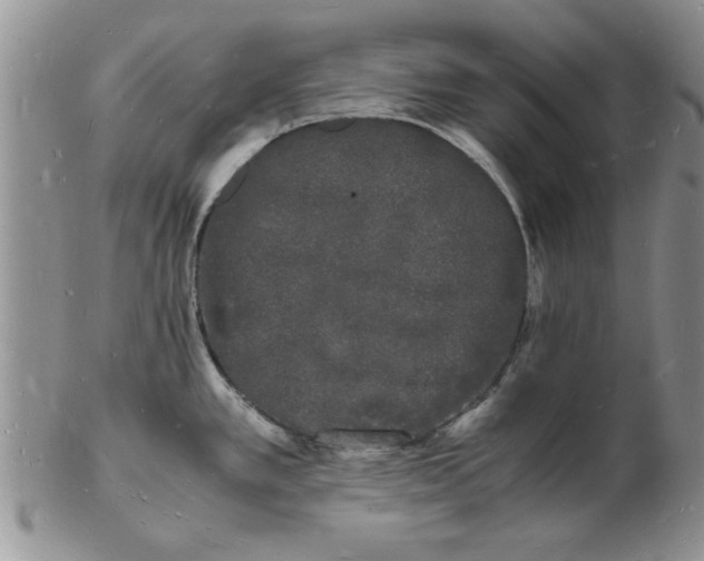 X0000103291389200809121958