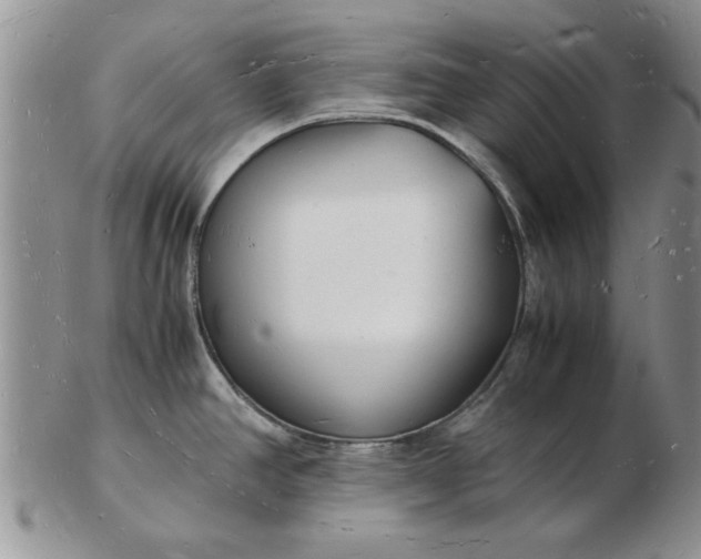 X0000103291390200809121958