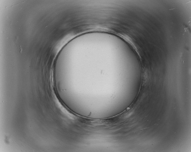 X0000103291391200809121958