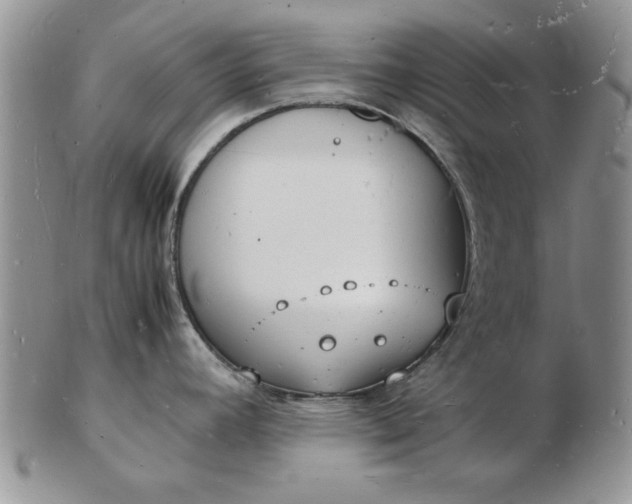 X0000103291392200809121958