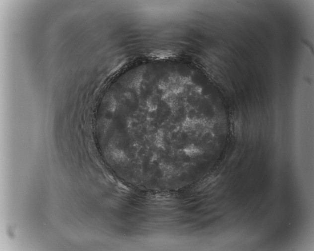 X0000103291393200809121957