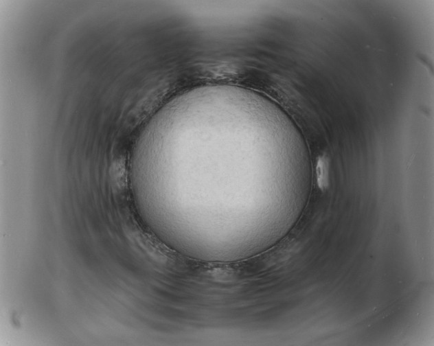 X0000103291395200809121957