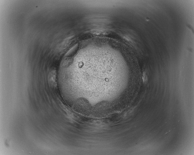 X0000103291396200809121957