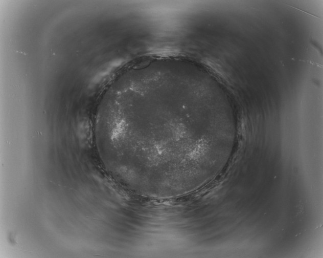 X0000103291398200809121957