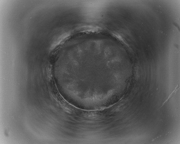 X0000103291399200809121957