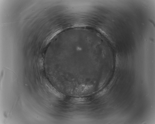 X0000103291401200809121957