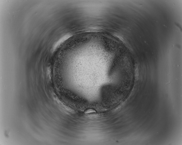 X0000103291402200809121957