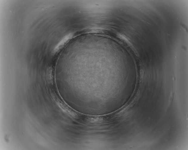 X0000103291403200809121957