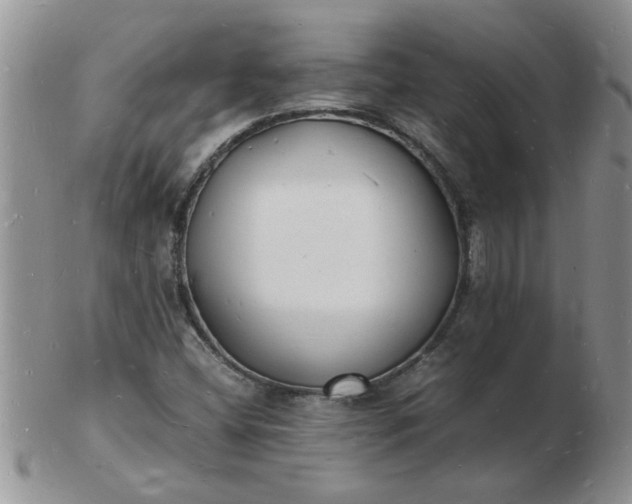 X0000103291404200809121957