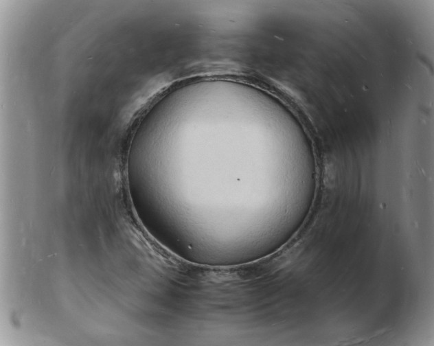 X0000103291407200809121957