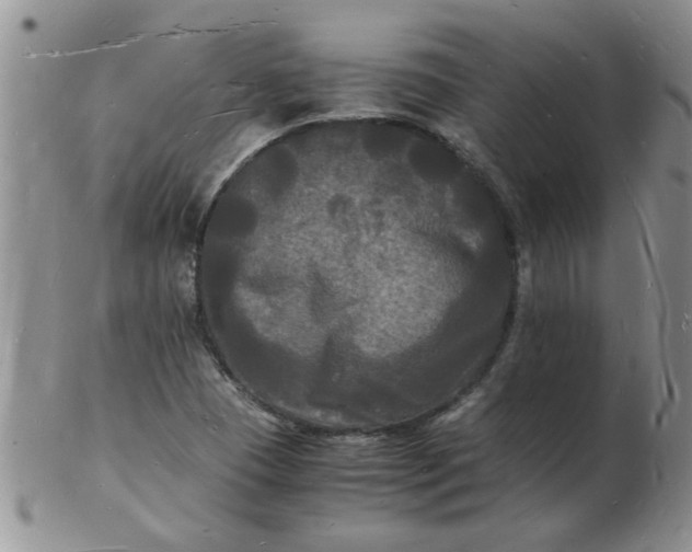 X0000103291409200809121957