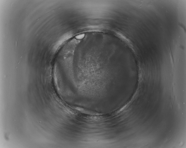 X0000103291411200809121957