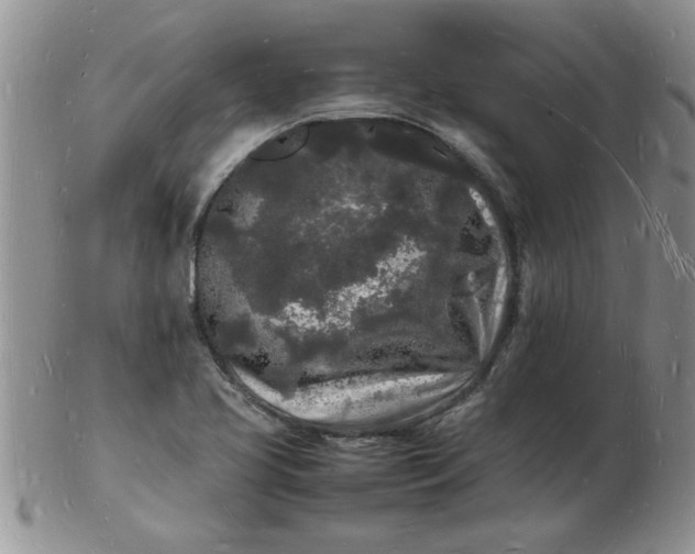 X0000103291413200809121957