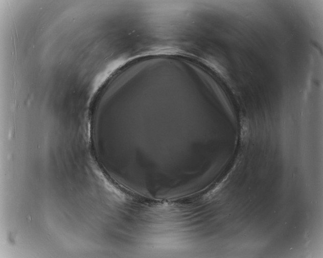 X0000103291414200809121957