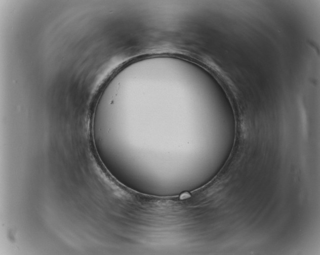 X0000103291416200809121957