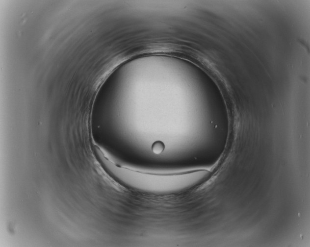 X0000103291417200809121957