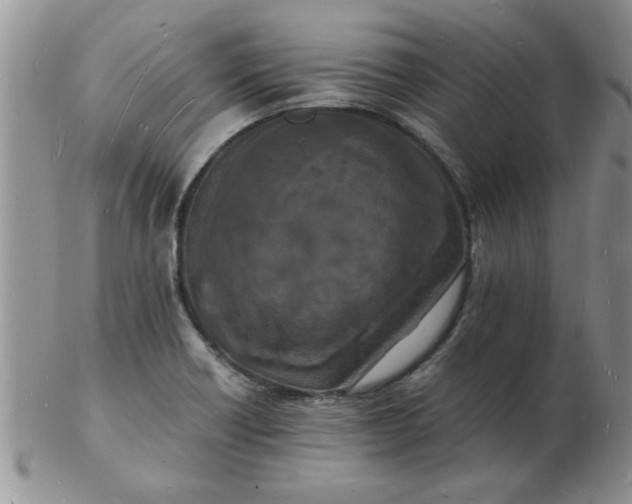 X0000103291418200809121957