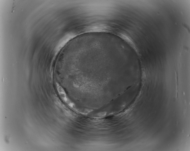 X0000103291419200809121957