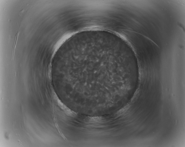 X0000103291421200809121957