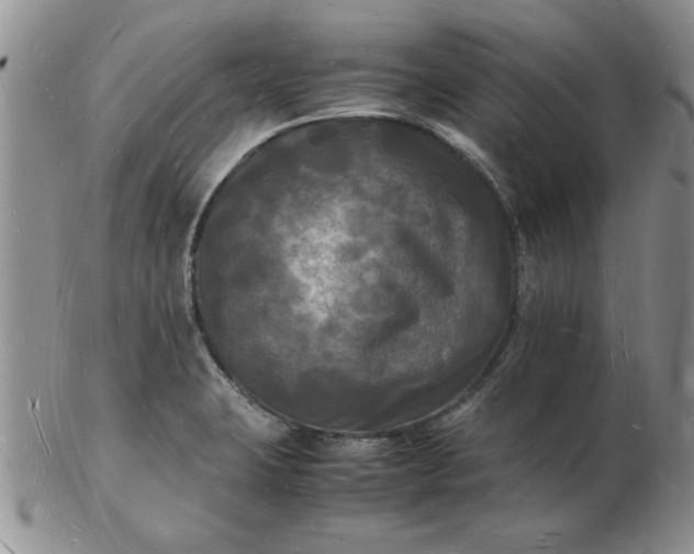 X0000103291423200809121957