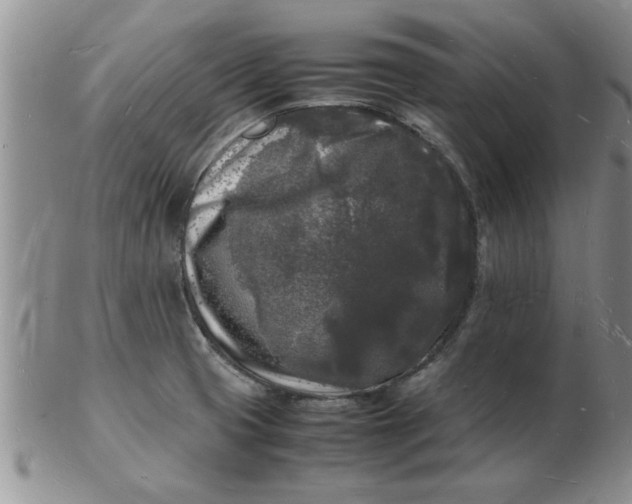 X0000103291425200809121957