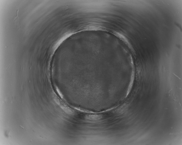 X0000103291427200809121957