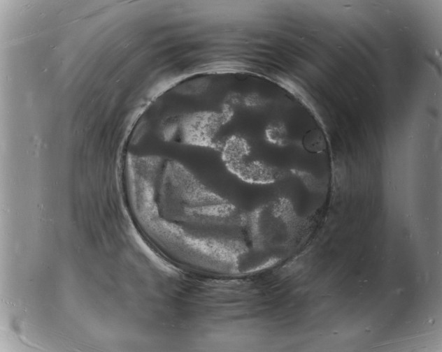 X0000103291429200809121957