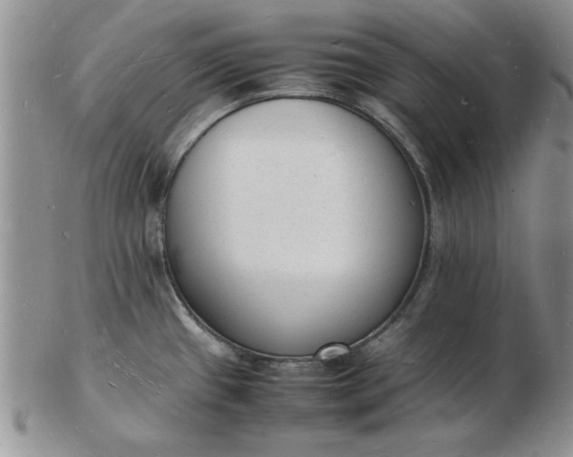 X0000103291433200809121957