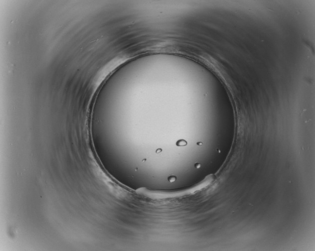 X0000103291434200809121957