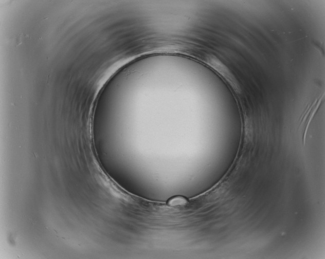 X0000103291436200809121957