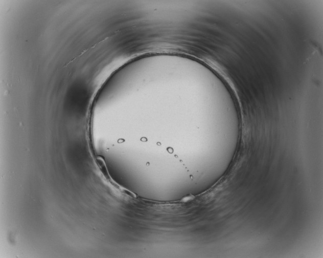 X0000103291437200809121957