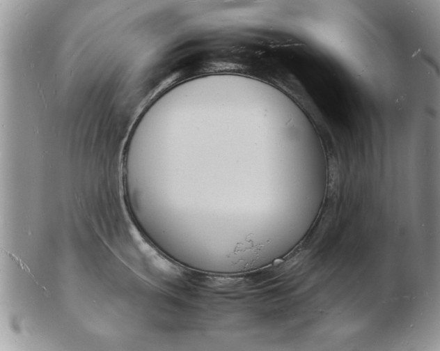 X0000103291439200809121958