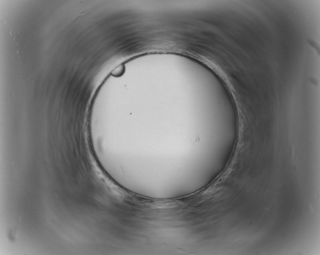 X0000103291440200809121958