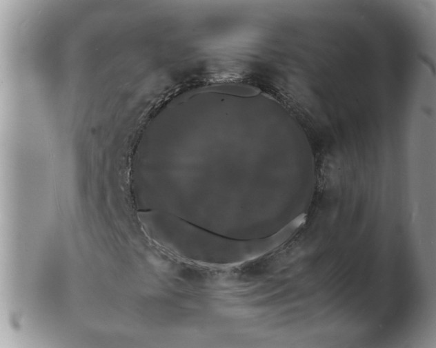 X0000103291441200809121957