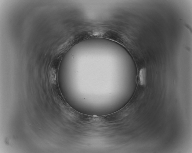 X0000103291443200809121957