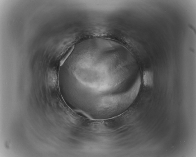 X0000103291444200809121957