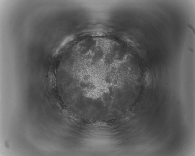 X0000103291446200809121957