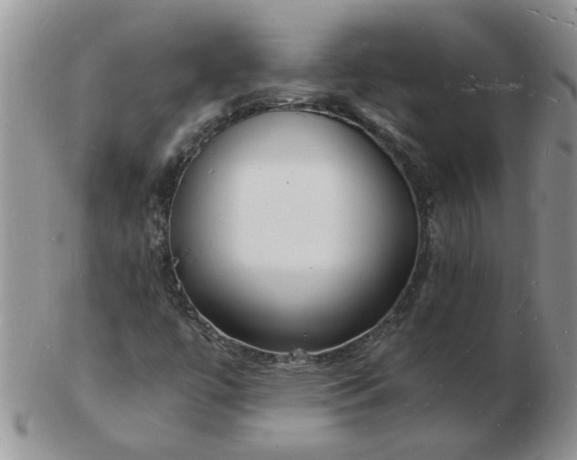 X0000103291447200809121957