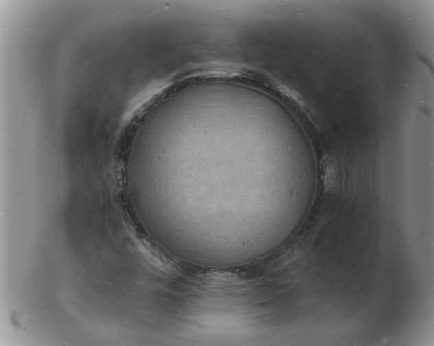 X0000103291448200809121957