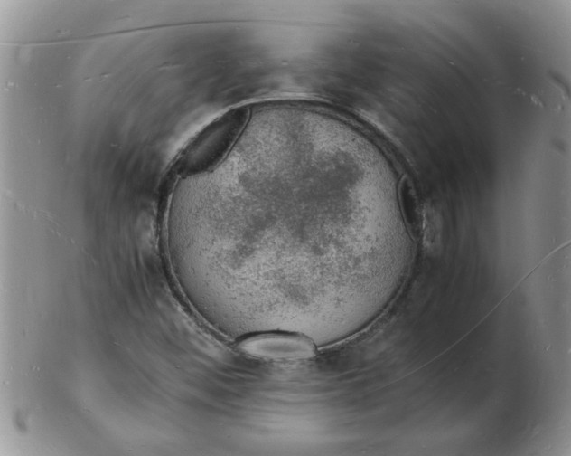 X0000103291452200809121957