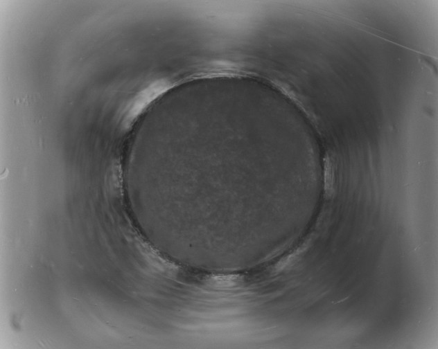 X0000103291453200809121957